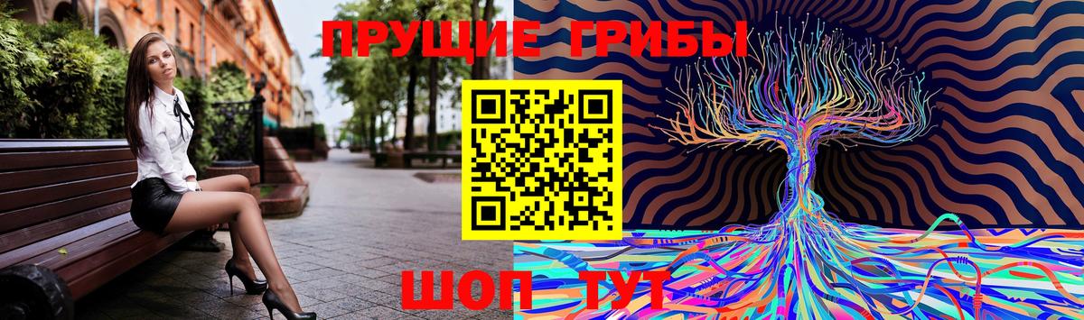Галлюциногенные грибы прущие грибы  Вход с VPN  Ликино-Дулёво 