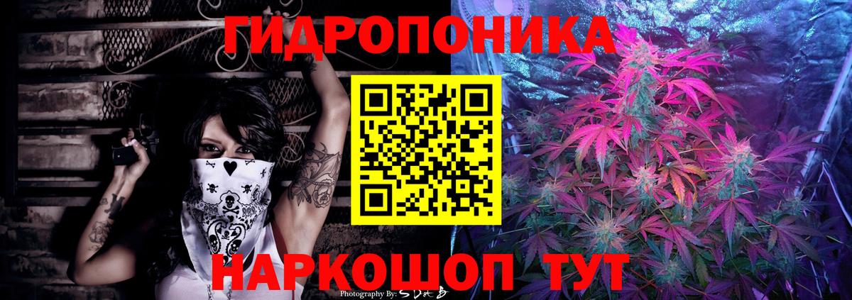 Конопля сатива Ликино-Дулёво